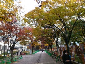 大阪、中之島の紅葉